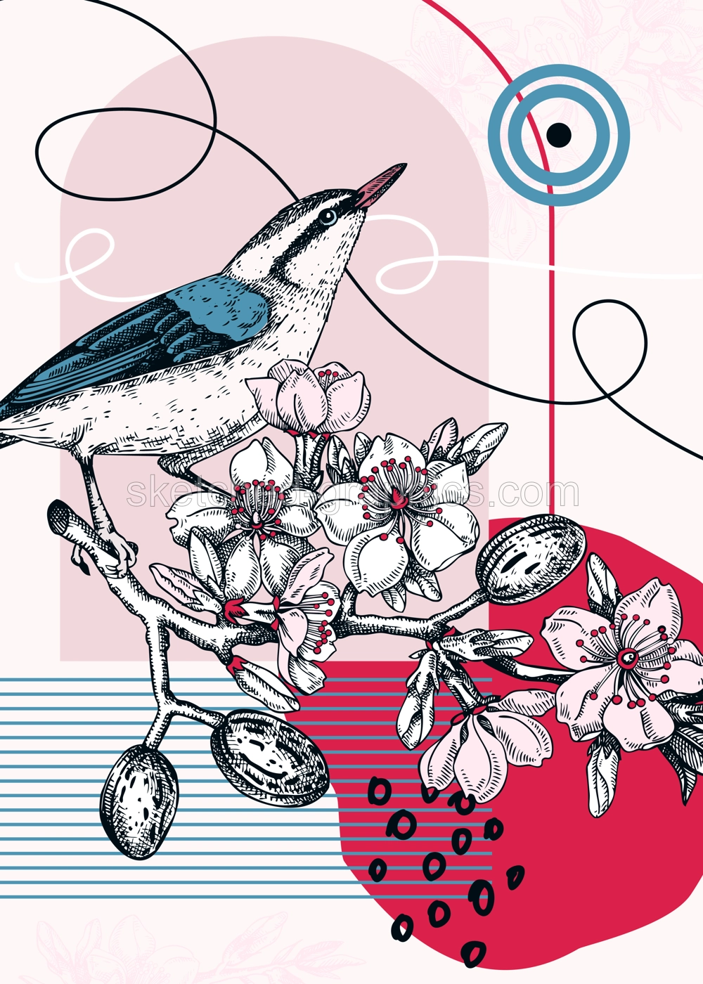 Collage style nuthatch vector illustration. Hand drawn bird on blooming almond branch with flowers, nuts and leaves. Trendy design with botanical, geometric shapes, and abstract elements. Illustration